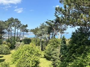 Photo 29- click for photo gallery